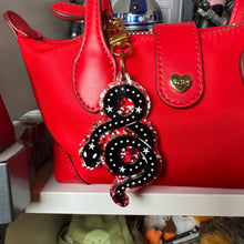 Rep Bag charms and earrings